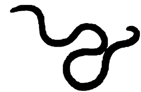 silhouette of worm-snake