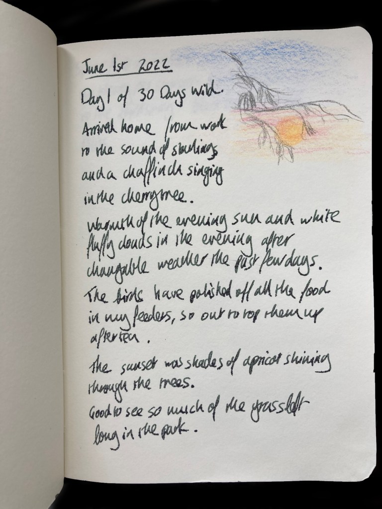 Page from a wildlife journal with notes of the nature spotted and a sketch of the sunset