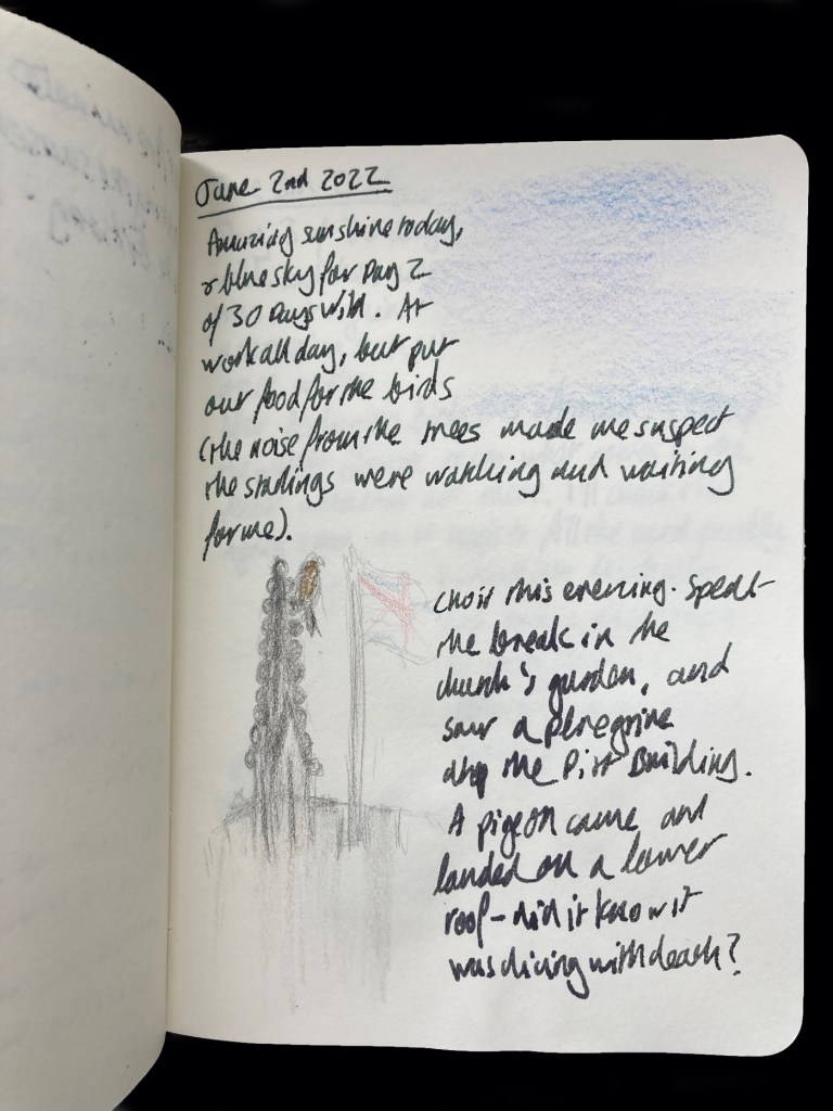 Page from a wildlife journal with a sketch of the sky and a sketch of a peregrine on top of a tower