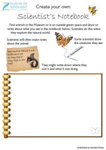 Preview image of scientists notebook activity sheet - click to download full activity sheet