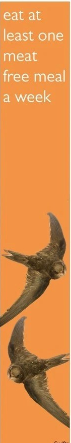 Pledge: eat at least one meat free meal a week