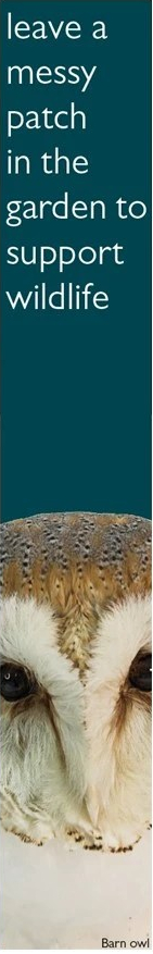 Pledge: leave a messy patch in the garden to support wildlife