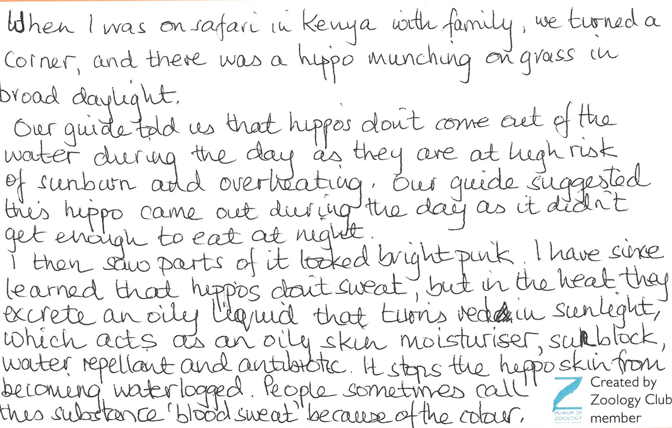 Label about hippos written by a member of the Zoology Club