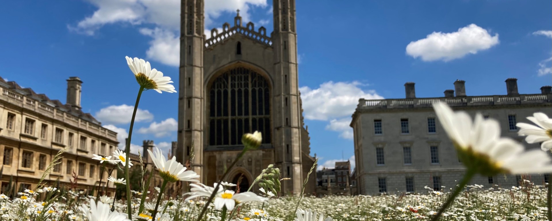 Wildflowers blooming in front of Kings College Chapel