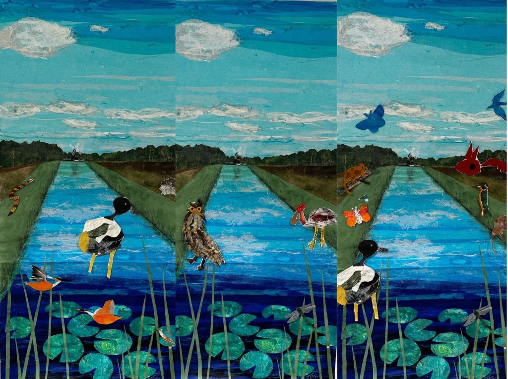 Collaged image of fenland habitat