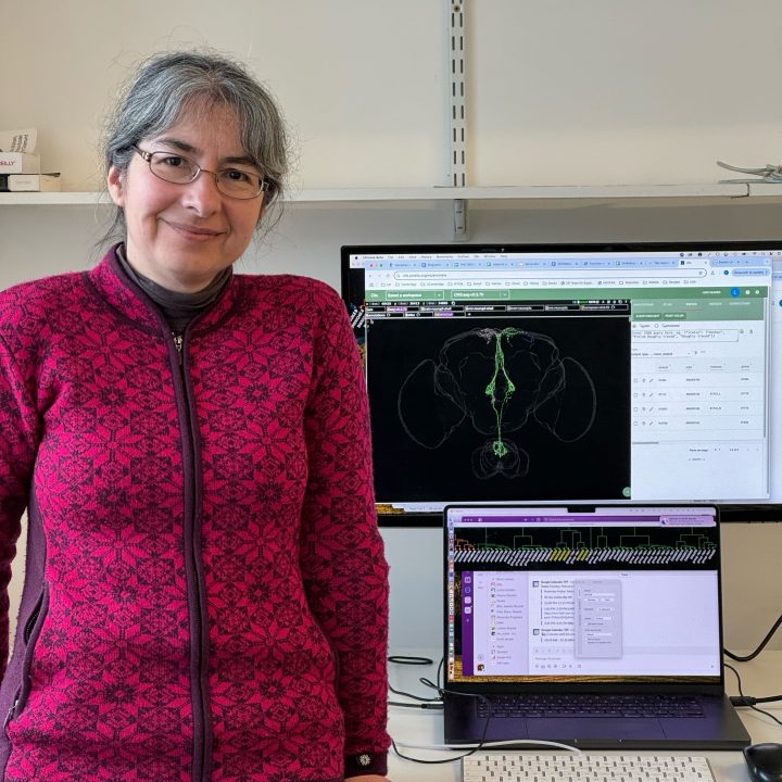 Woman standing beside computer screens