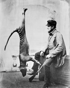 Black and white photograph of a man sitting beside a dead thylacine