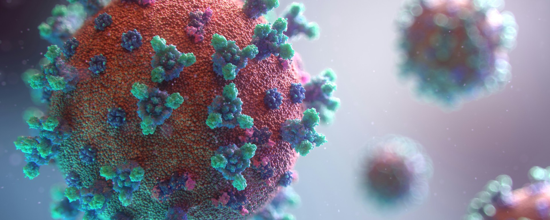 coloured image of covid virus particles