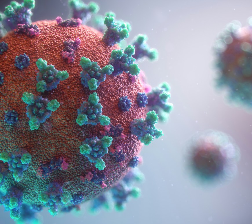 coloured image of covid virus particles