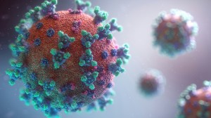 coloured image of covid virus particles