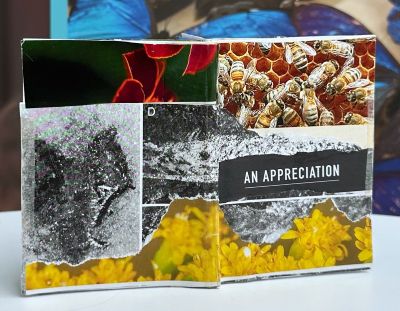 Cover of a zine withcollage including bees and flowers and words an appreciation