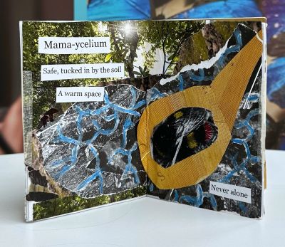Inside a zine with collage and words mama-ycelium safe, tucked in by the soil a warm space never alone