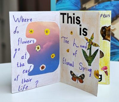 Inside a zine with collage of flowers and text where do flowers go at the end of their lives? This is the land of eternal spring