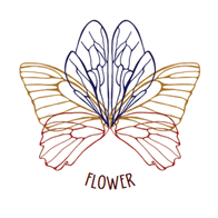 Outline drawing of a flower made out of insect wings
