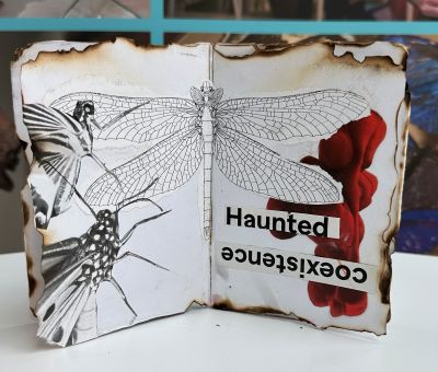 Inside a zine with drawing of a dragonfly and words haunted coexistence