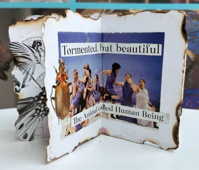 Inside of a zine with a photo pf people with the words tormented but beautiful the animal called human being