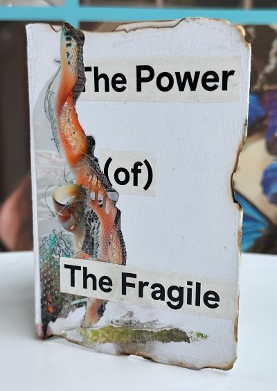 Front page of a zine 'The Power of the Fragile