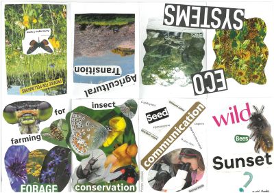 Open zine with title wild bees sunset, containing collage of bees and ecosystem