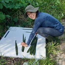 Sacchi Shin-Clayton, smiling, wearing blue activewear and a gren sunhat, collecting long thin leaves onto a workstation in a forest.