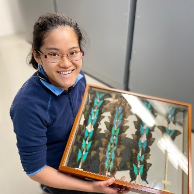 Tiffany Ki, smiling, wearing glasses and a blue fleece, holding a tray of moth specimens - all iridescent turquoise with black wing tips