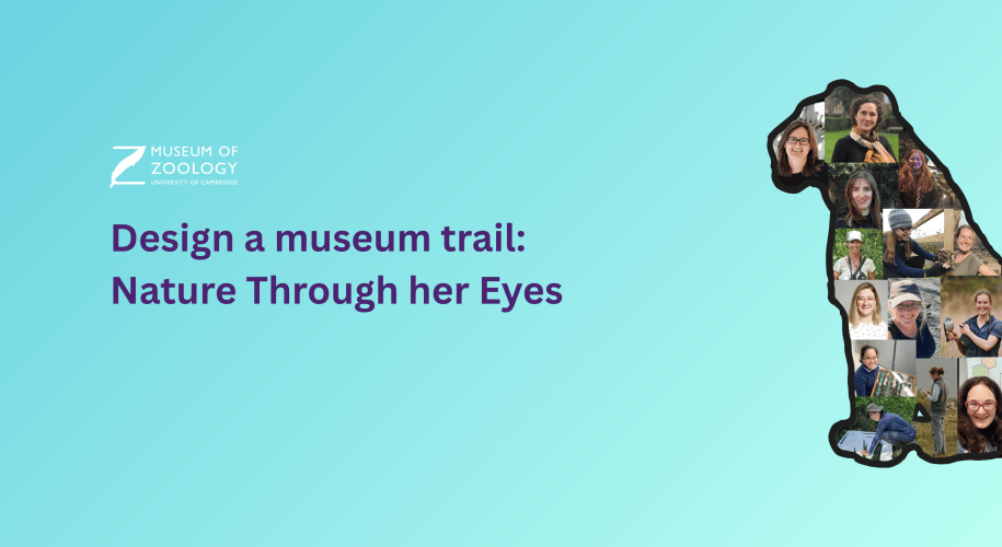 Outline of a lioness containing image collage of women associated with the Museum of Zoology in Cambridge. Blue gradient background. Title in purple text reads 'Design a museum trail: Nature Through her Eyes. White Museum of Zoology logo in corner.